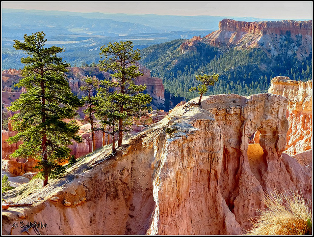 Rừng đá ngoạn mục ở công viên Bryce Canyon