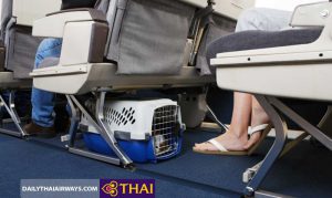 Quy định vận chuyển vật nuôi Thai Airways
